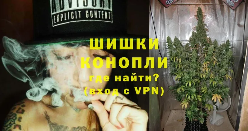 Конопля Ganja  Пятигорск 